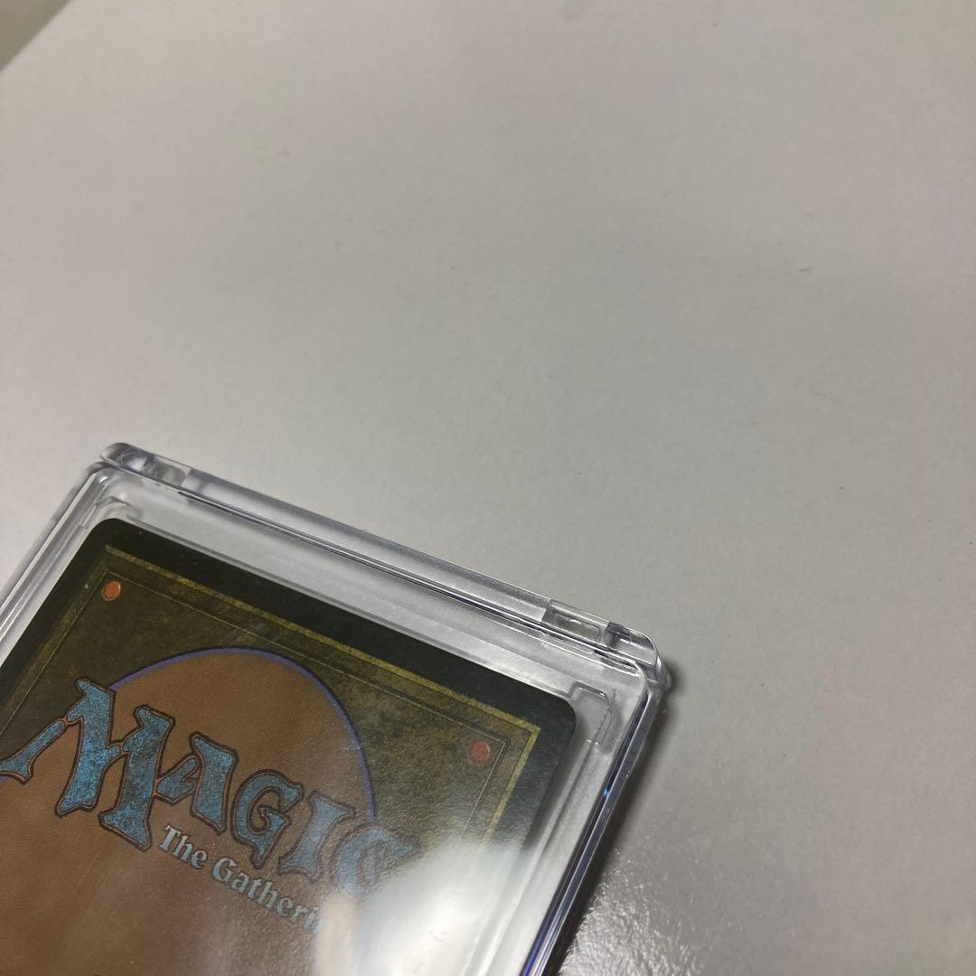 c*l様 MTG アナグマモグラの仔/Badgermole Cub ボーダーレス