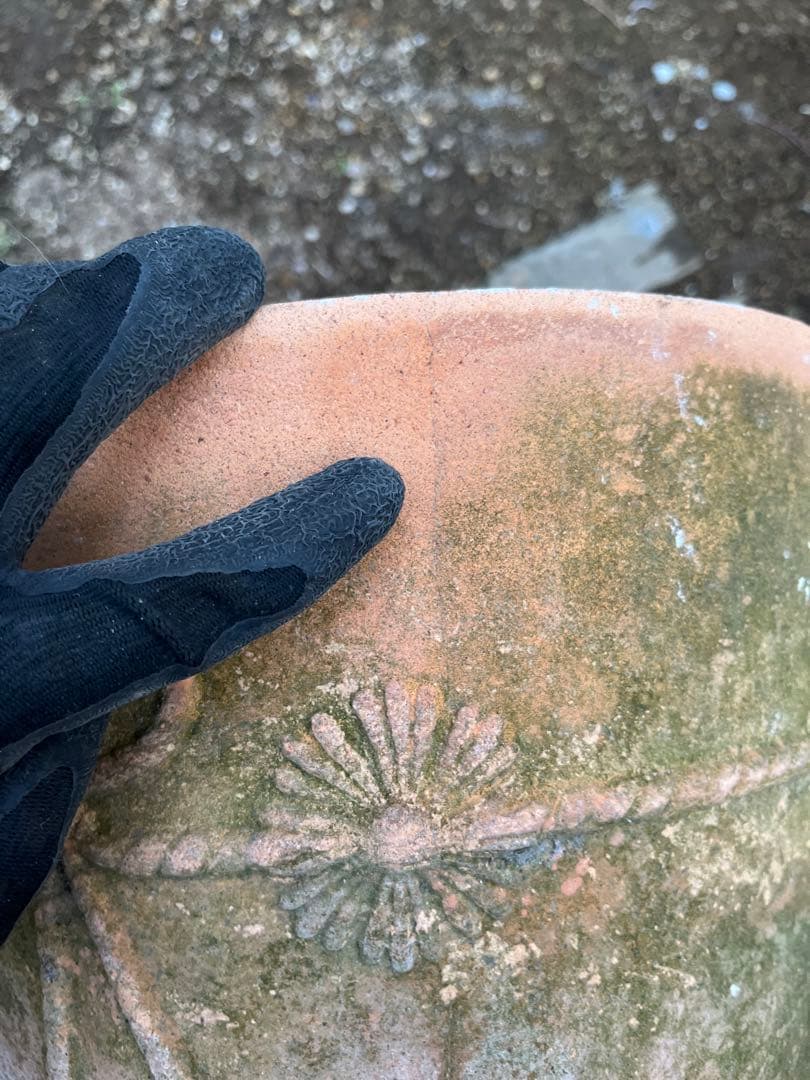 大型鉢　アンティークな雰囲気　苔　テラコッタ鉢　ガーデン　ガーデニング