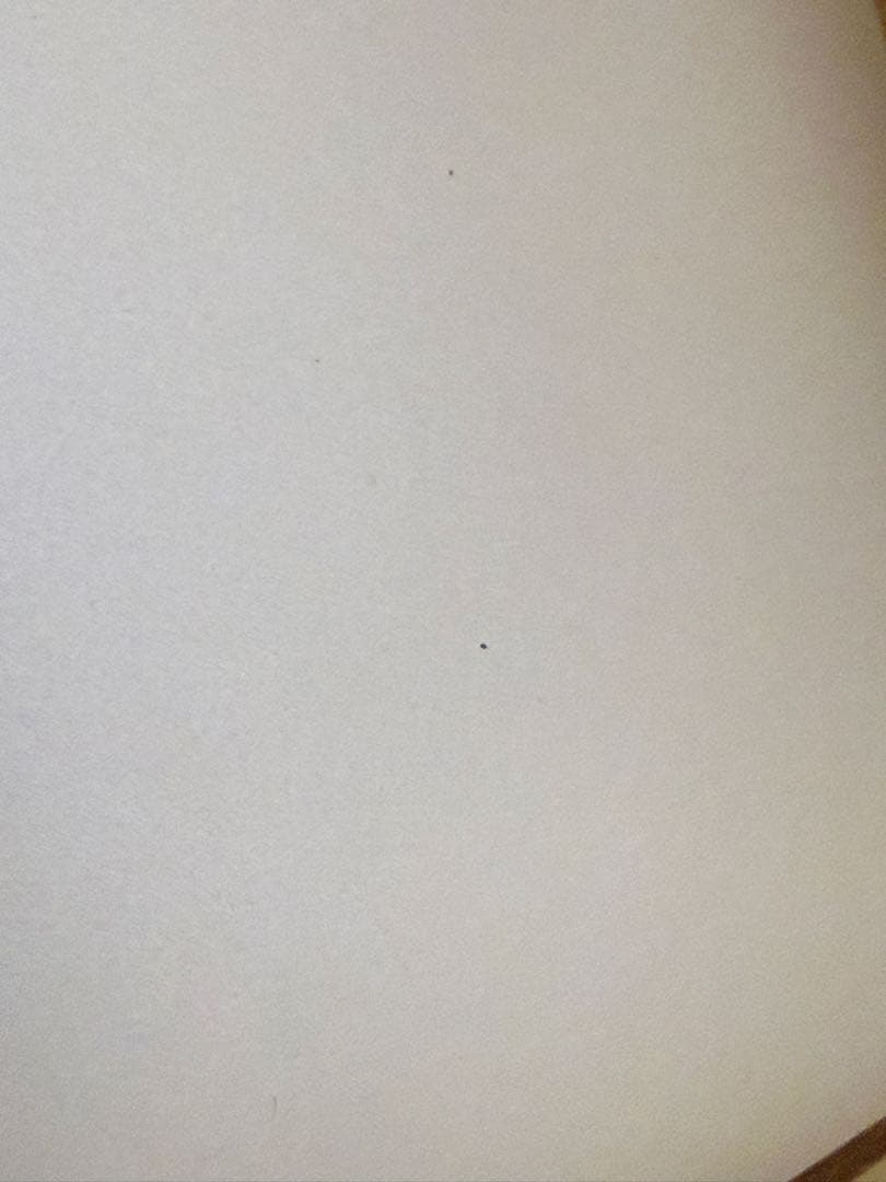 【i7/16GB/1TB】MacBook Pro 13inch