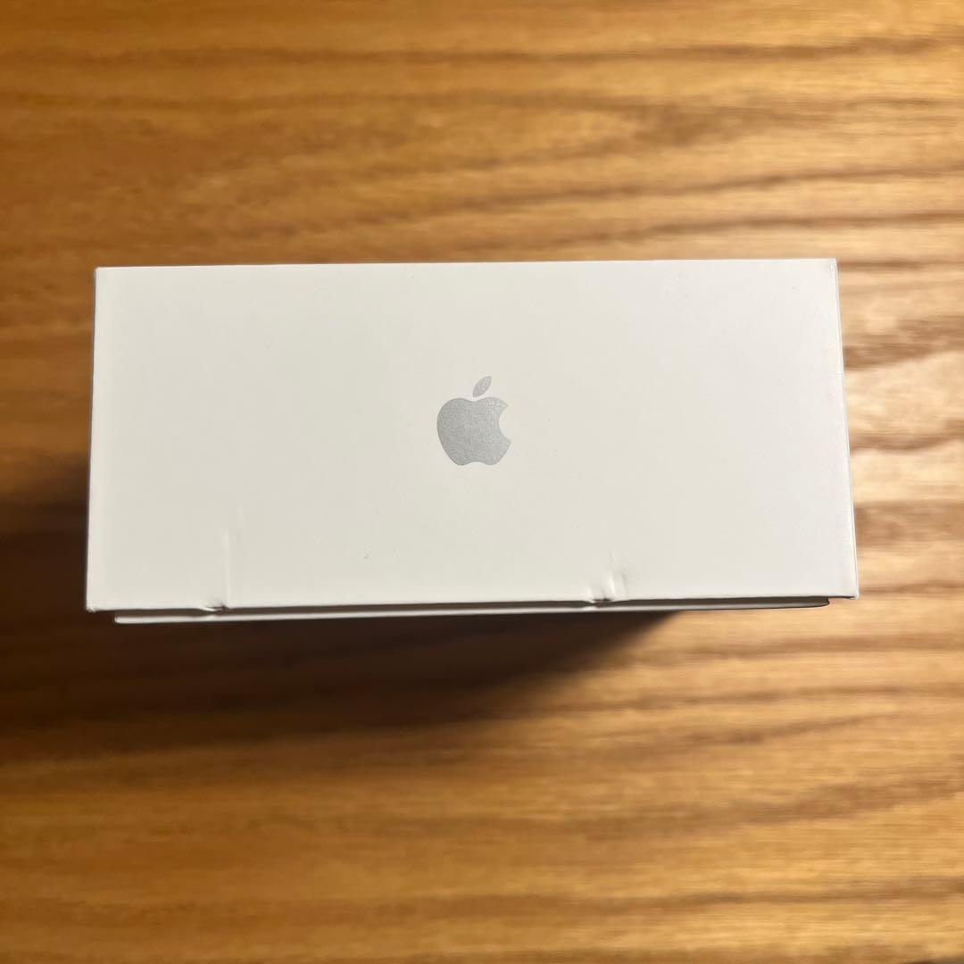 Apple AirPods Pro2 USB-C 付属品未使用 美品