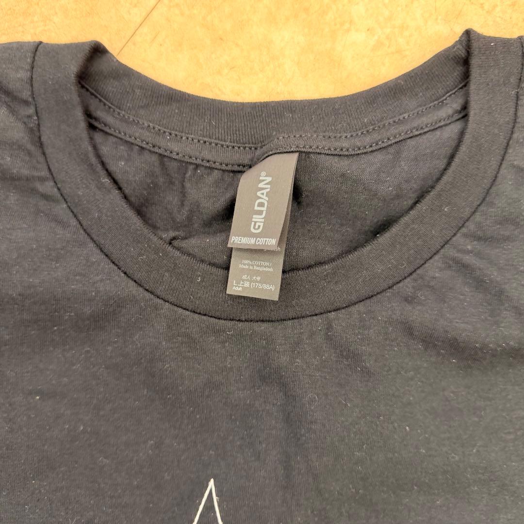 Beach Fossils official バンドTシャツ DIIV バンT