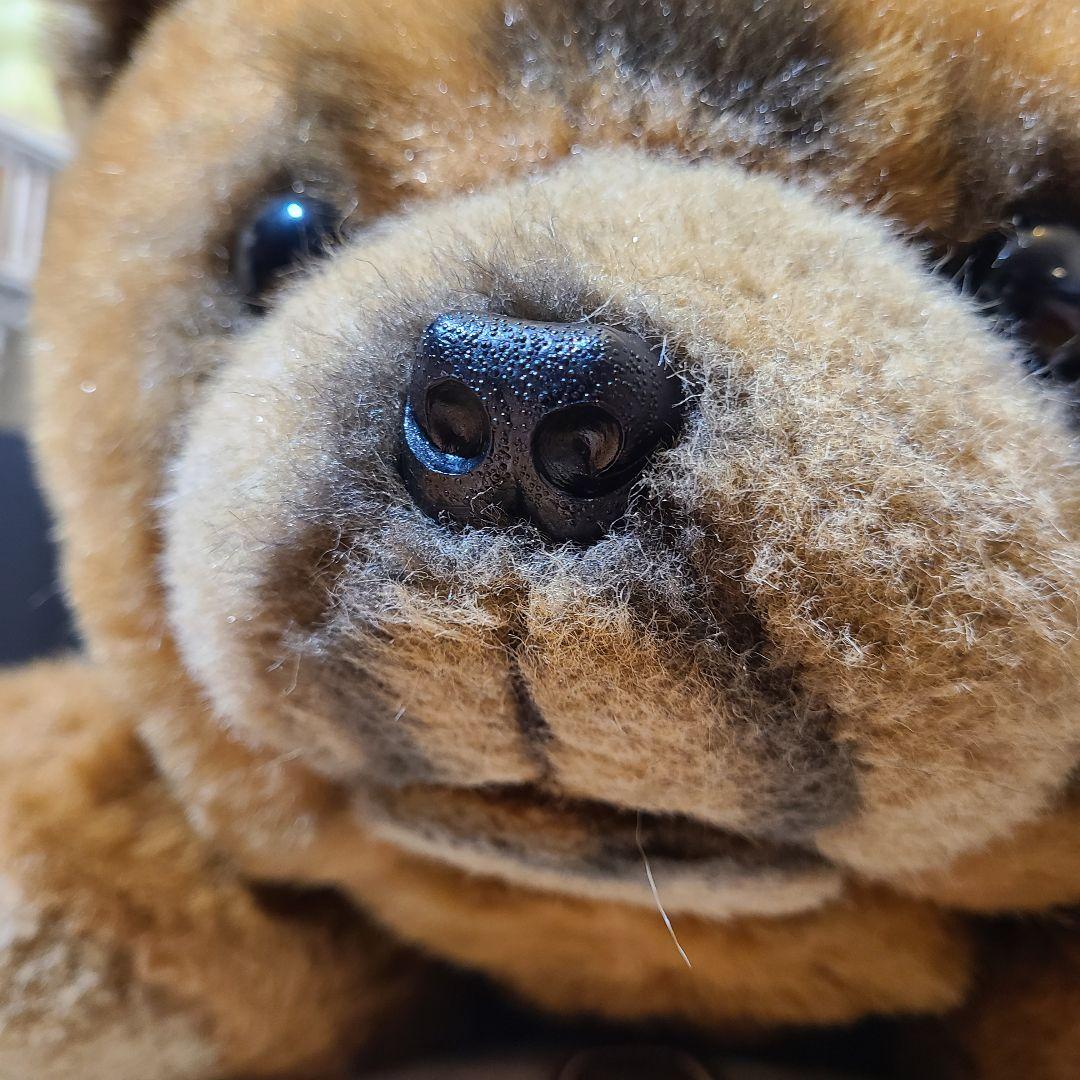 三英　ぬいぐるみの三　SANEI　チャウチャウ　ぬいぐるみ　特大