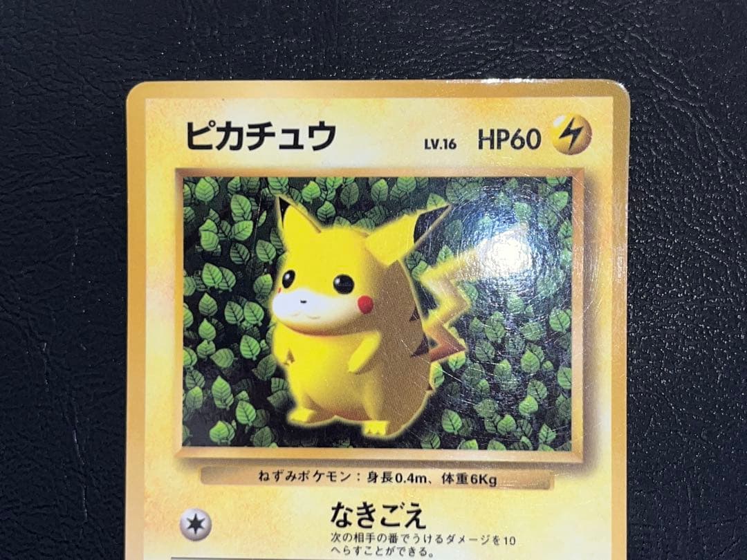 ピカチュウ 旧裏 コロコロプロモ 光沢あり イラストレーター誤表記