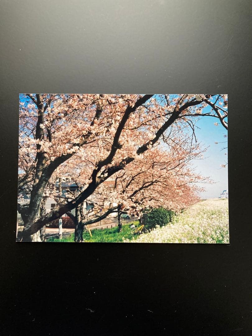 ❇️ KONICA C35 flashmatic ✳️ 点検、整備済み　✳️