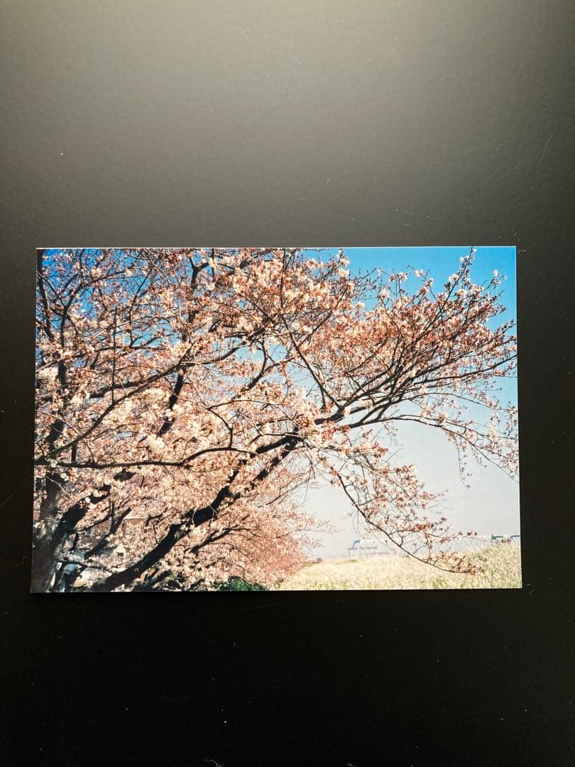 ❇️ KONICA C35 flashmatic ✳️ 点検、整備済み　✳️