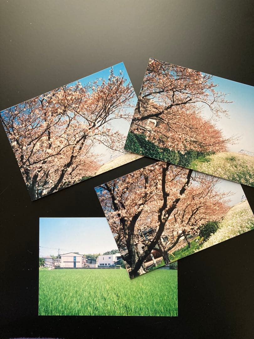 ❇️ KONICA C35 flashmatic ✳️ 点検、整備済み　✳️