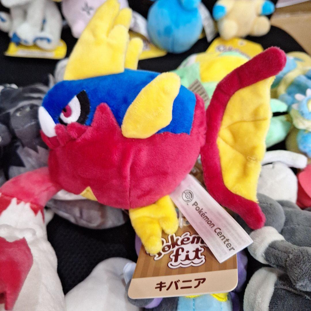 全てタグ付き　15個　ポケモンセンター　ホウエン　FIT　まとめ