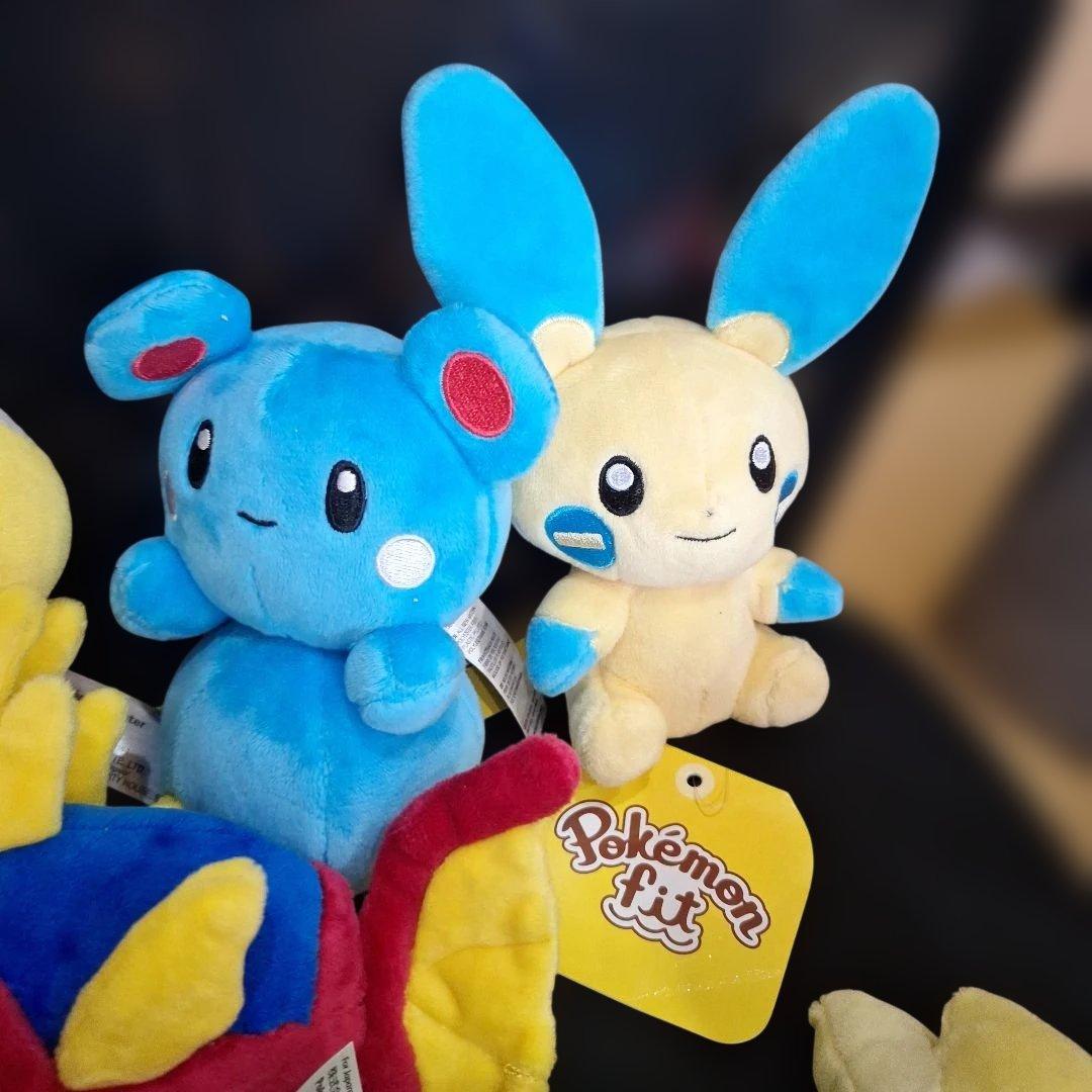 全てタグ付き　15個　ポケモンセンター　ホウエン　FIT　まとめ