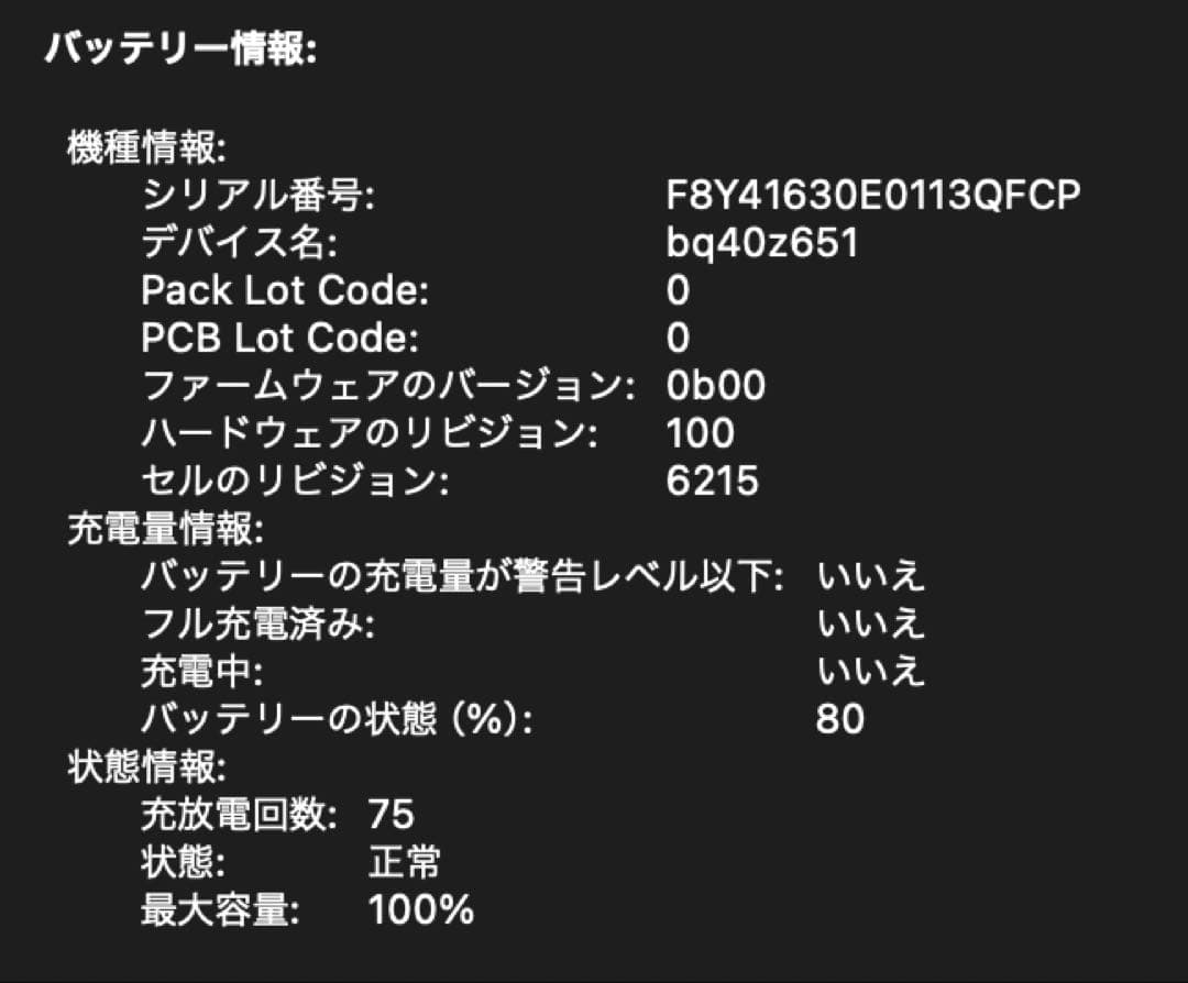 【極美品】Apple MacBook Air 13インチ M3 2024年モデル