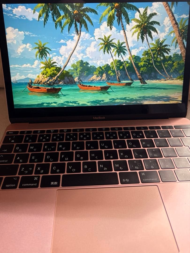 【訳あり】Apple MacBook12㌅(2017) A1534 i7上位機