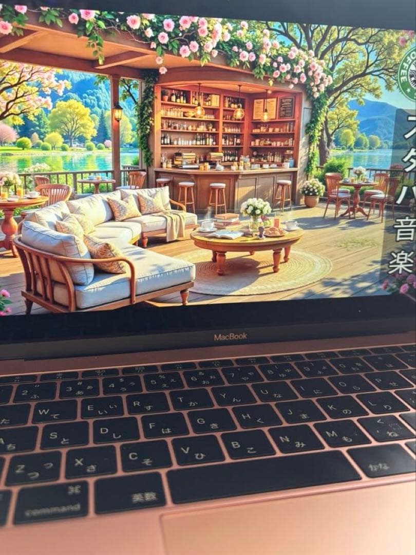 【訳あり】Apple MacBook12㌅(2017) A1534 i7上位機