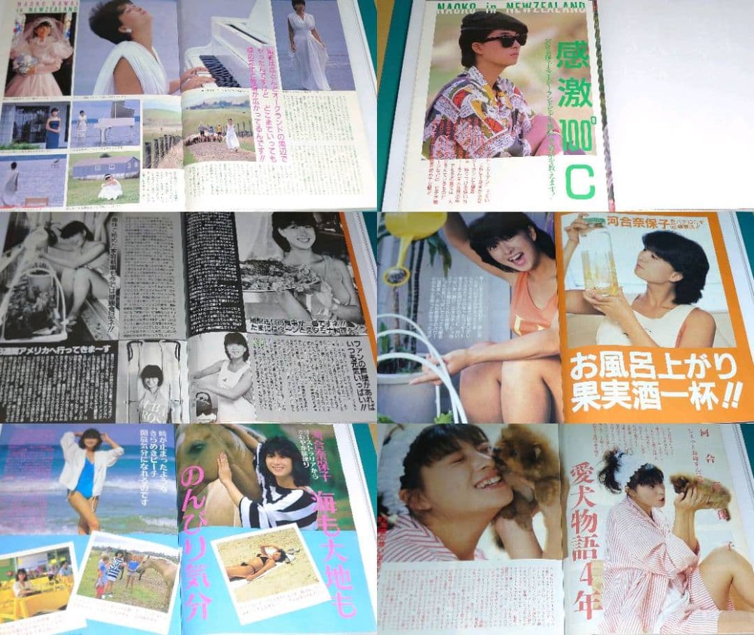 河合奈保子　1982年〜1986年 レア　大量　切り抜き　ファイル　2冊120P