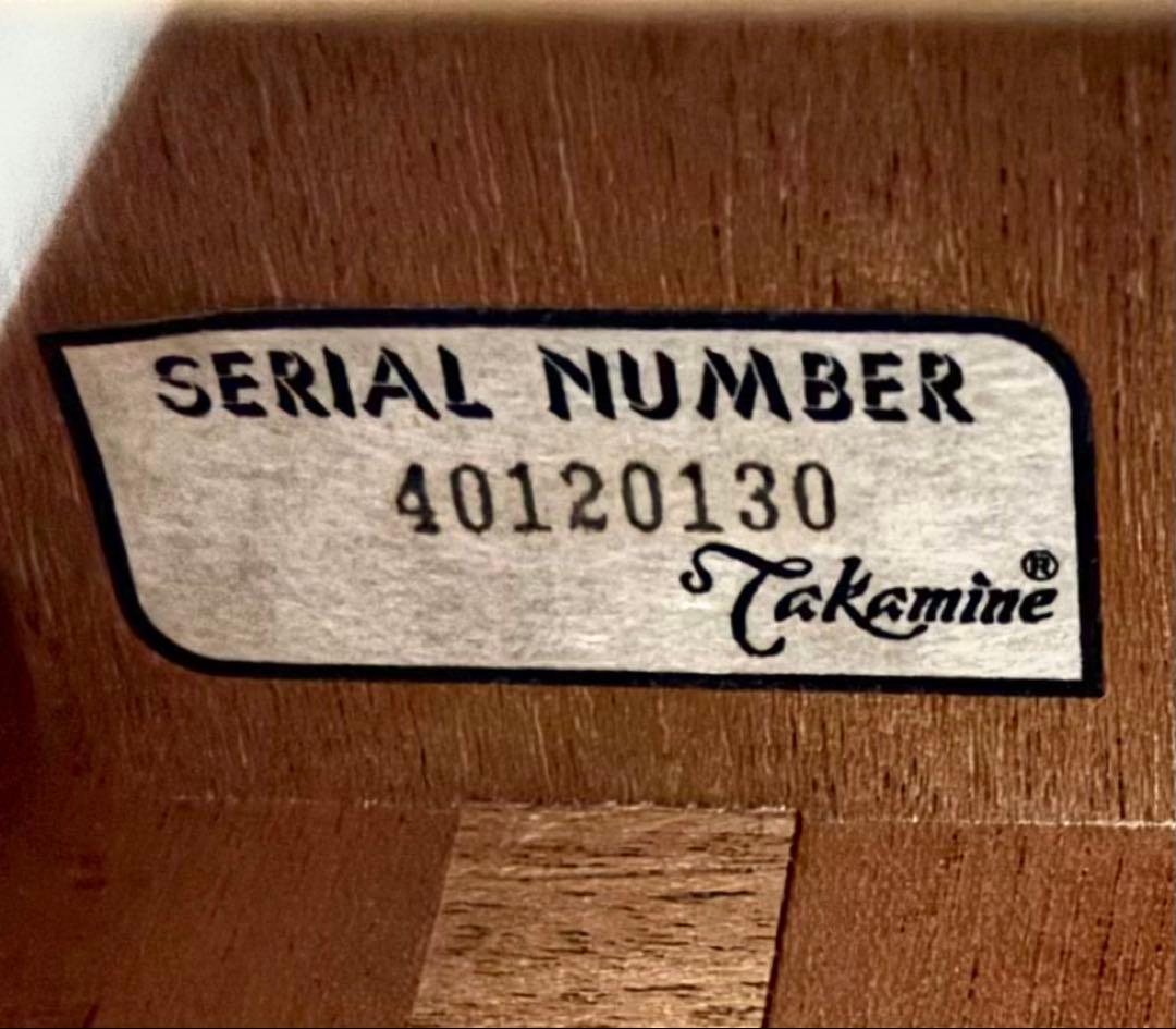【新品弦張替済】Takamine アコースティックギター TSA500