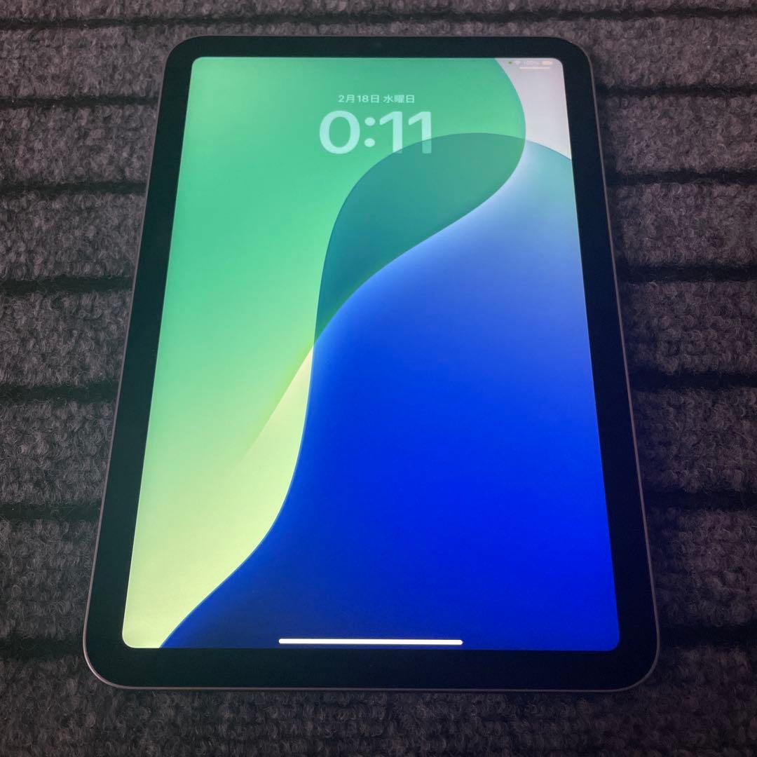 49 iPad mini6 6世代 256GB Wi-Fi パープル