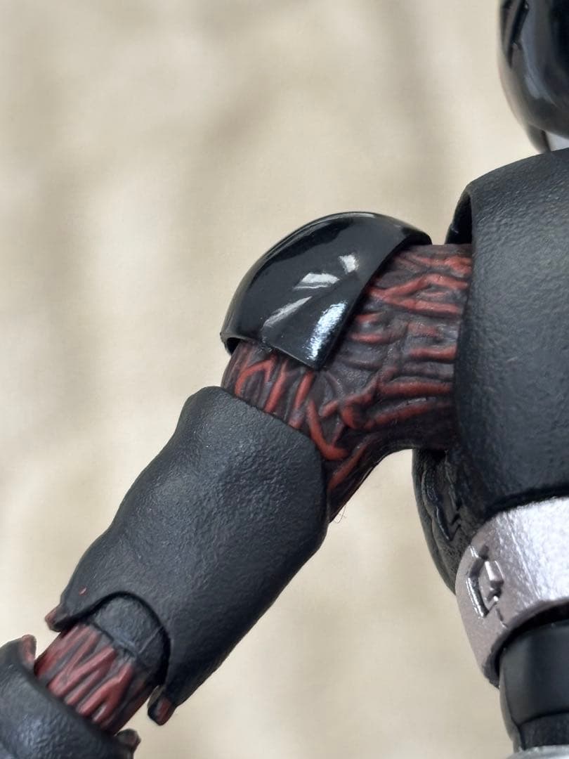 S.H.Figuarts（真骨彫製法）仮面ライダーBLACK