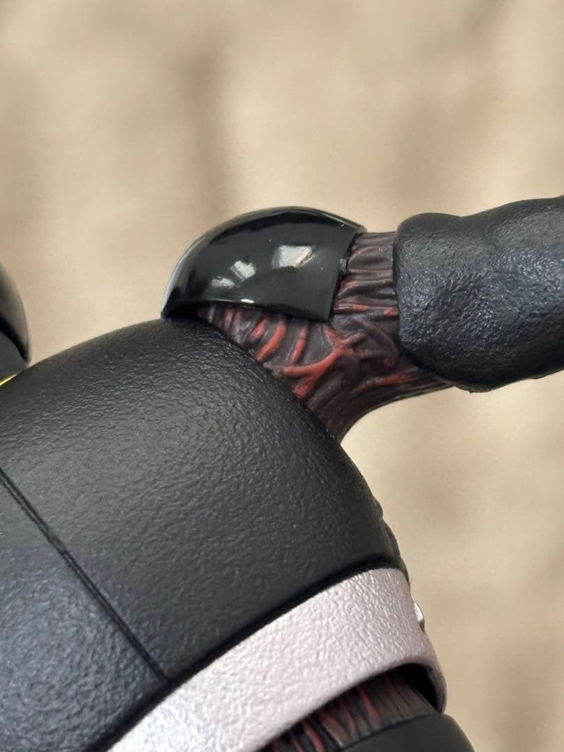 S.H.Figuarts（真骨彫製法）仮面ライダーBLACK