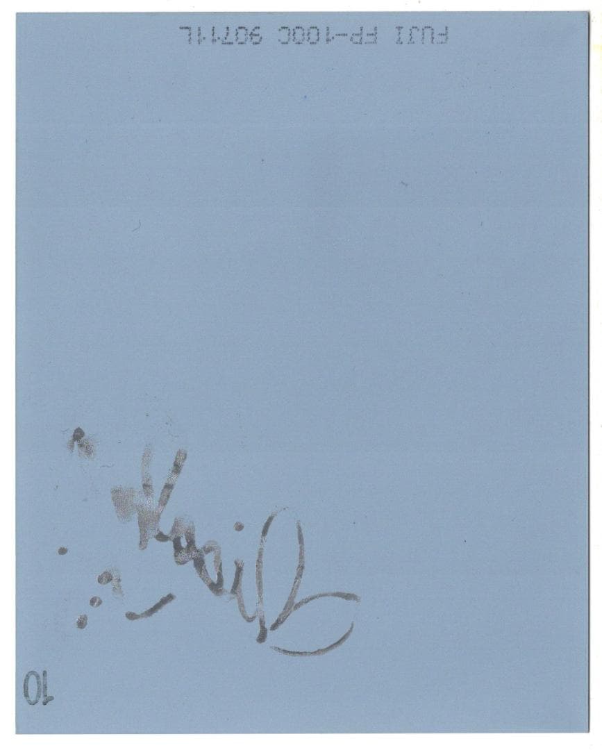 【直筆サイン入りポラ】安田美沙子　ビキニ水着　抽プレ品