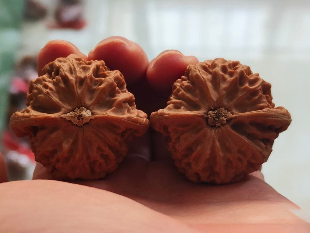 遊び胡桃 桃心宮灯 無修