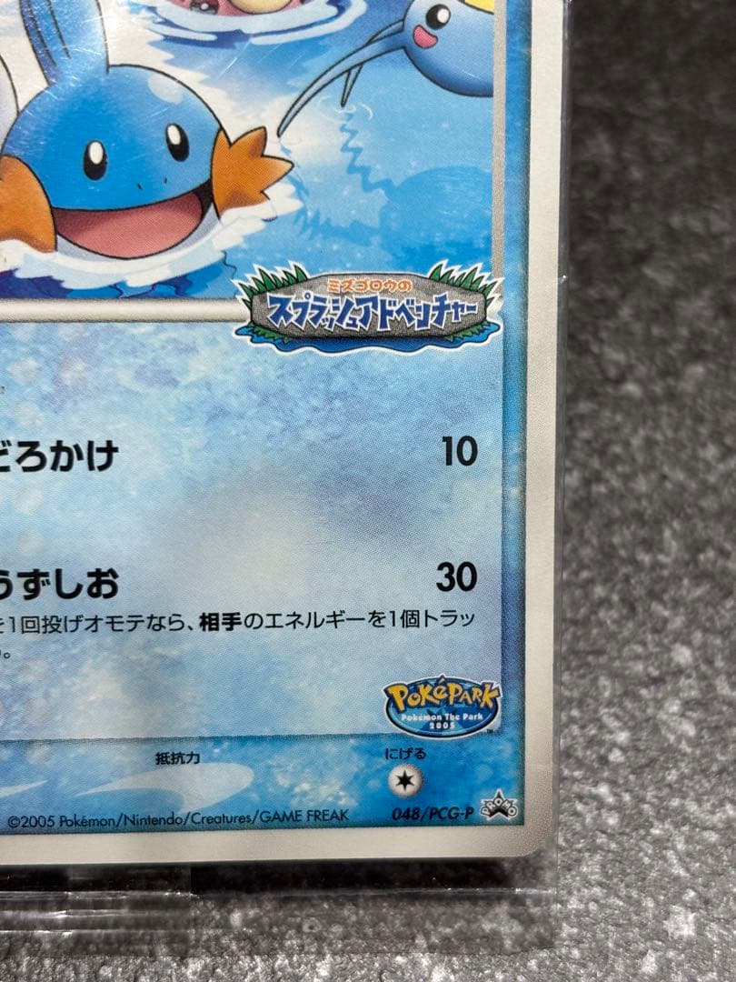 ポケモンカード　ポケパークのミズゴロウ　048/PCG-P ポケパーク　未開封