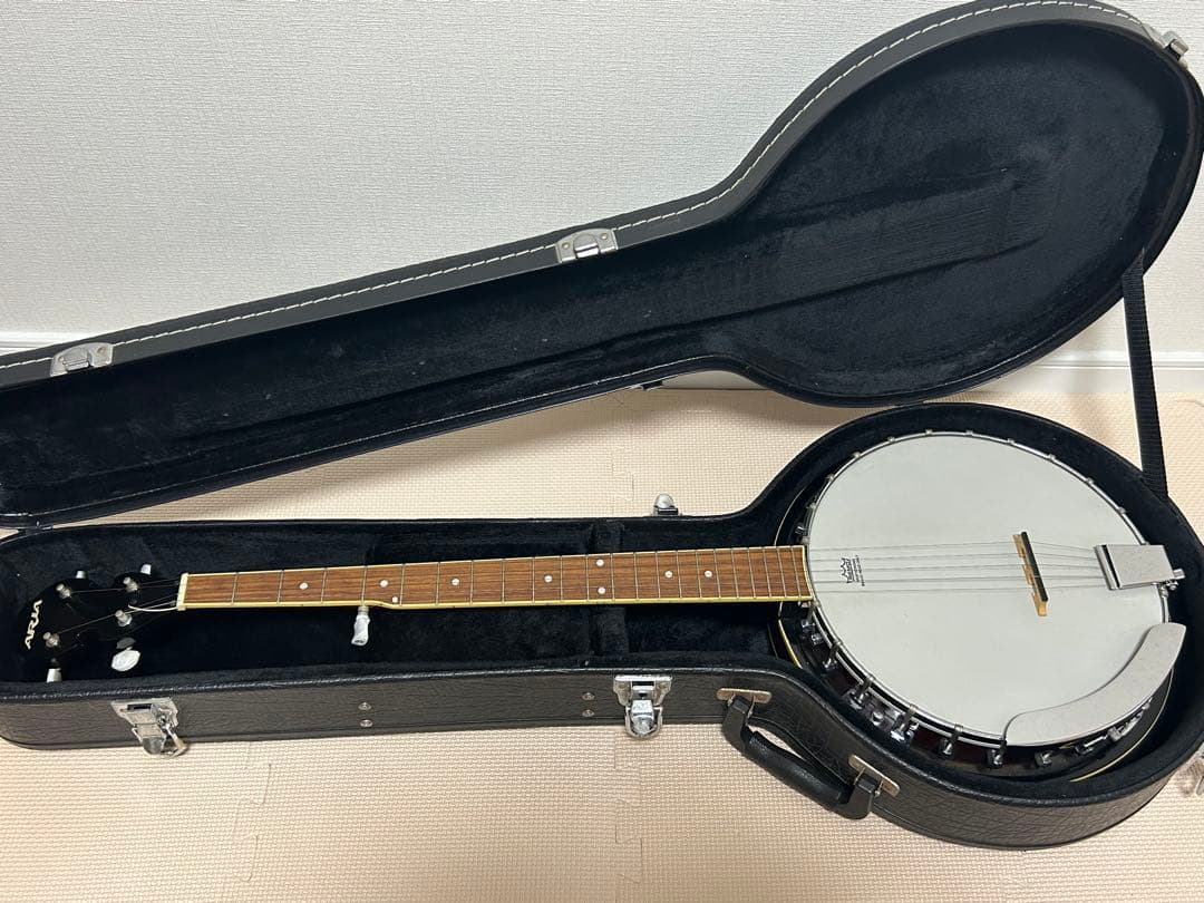 Aria 5弦バンジョー SB-100