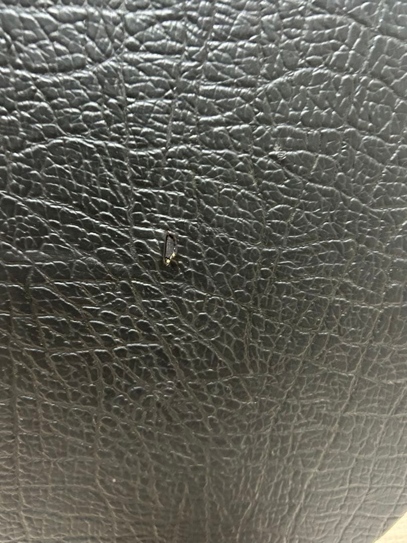 Aria 5弦バンジョー SB-100