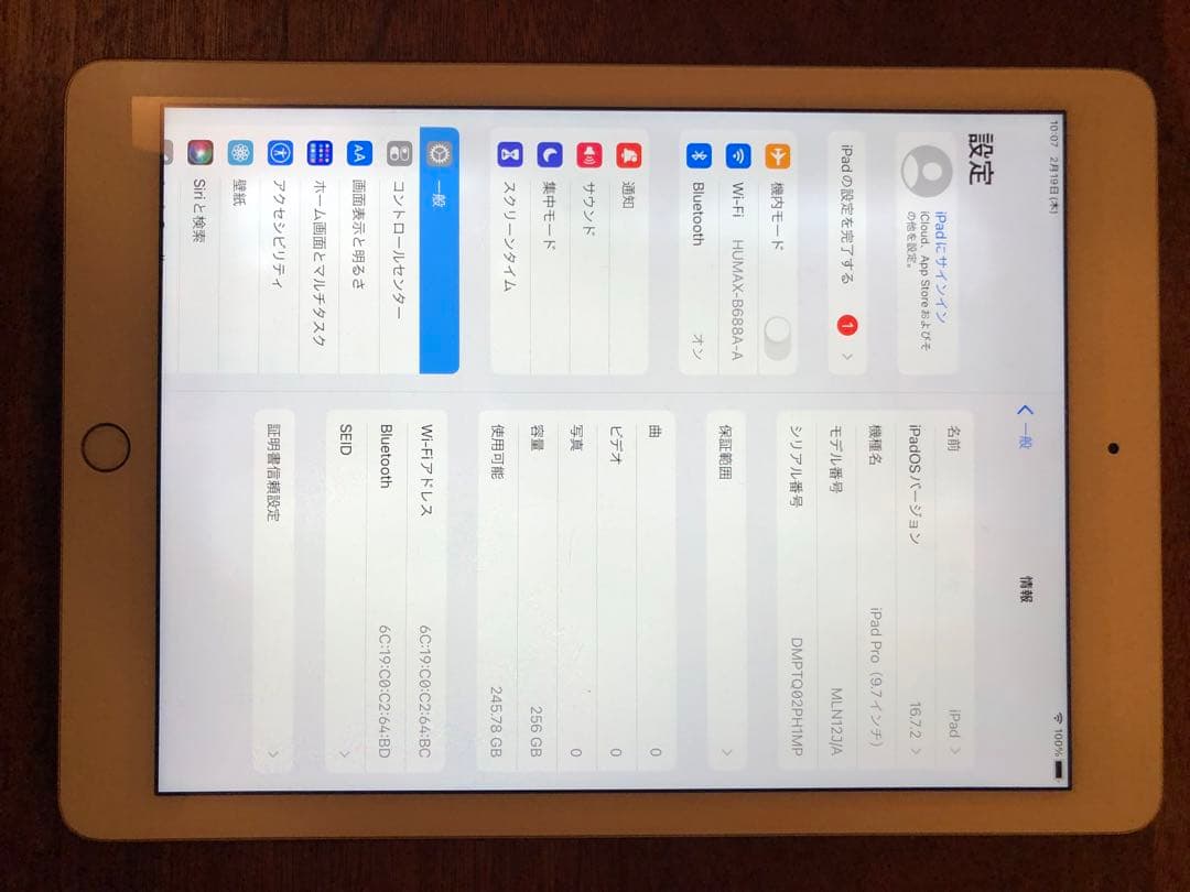 【大容量！値下げ】iPad Pro 9.7インチ WIFIモデル 256GB