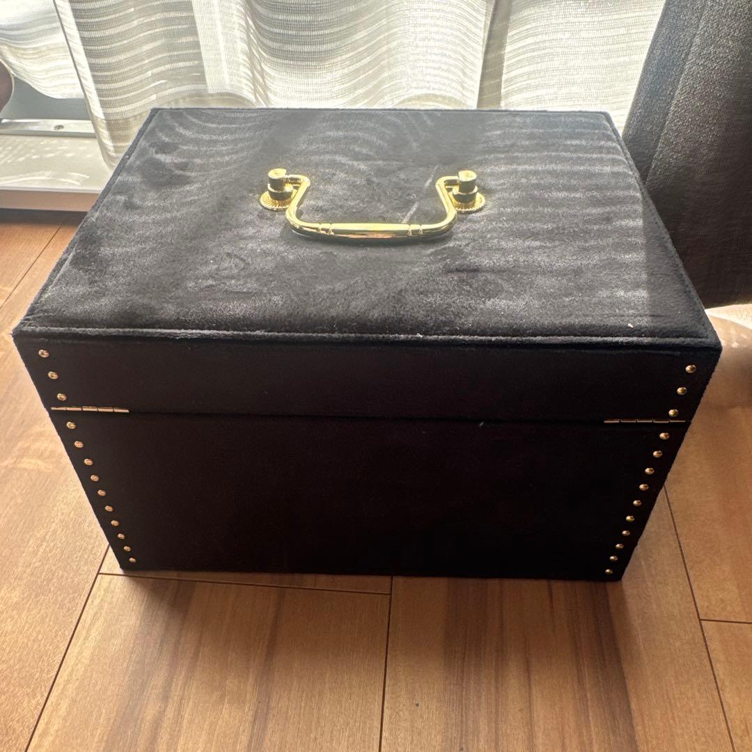 Francfrancフランフラン　ANNA SUI ジュエリーボックス　アナスイ