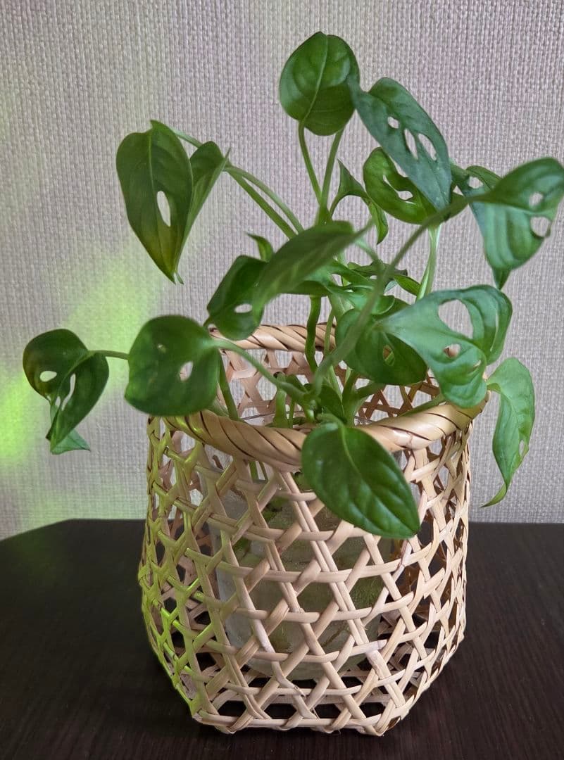 おしぼり入れ&小かご2種　計3点　竹細工　鈴竹　岩手　鳥越