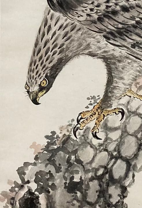 菊地光峰   一品物掛軸　日本画　松樹大鷹