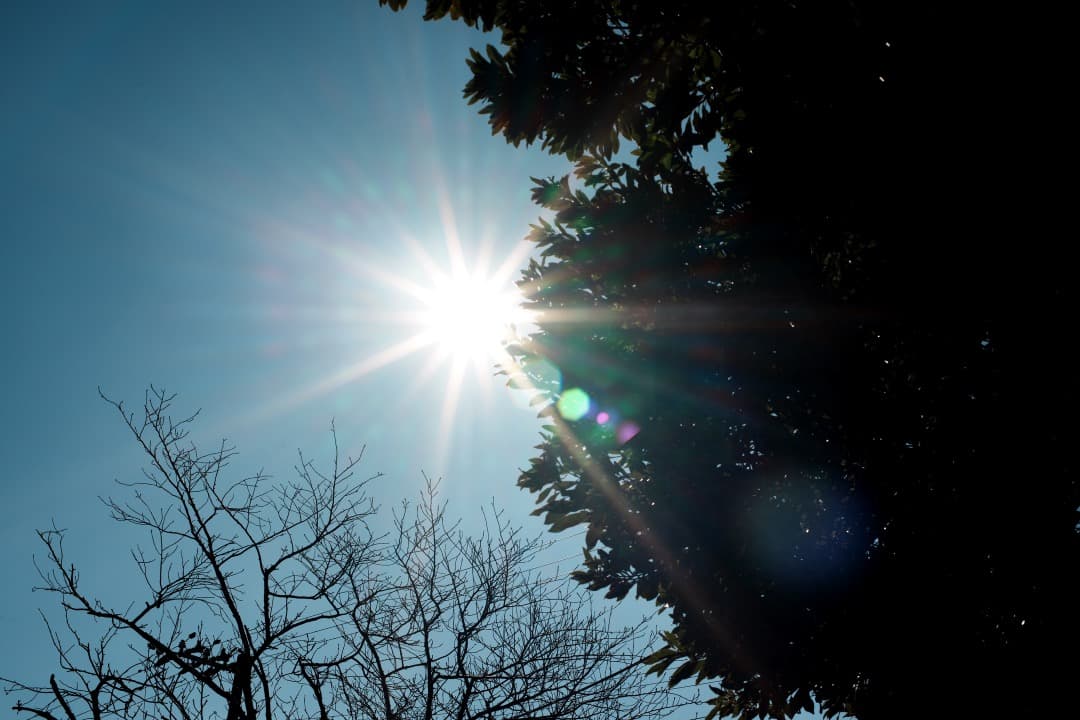 【極美品】動作◎ ニコン Ai-s Nikkor 50mm F1.4 773