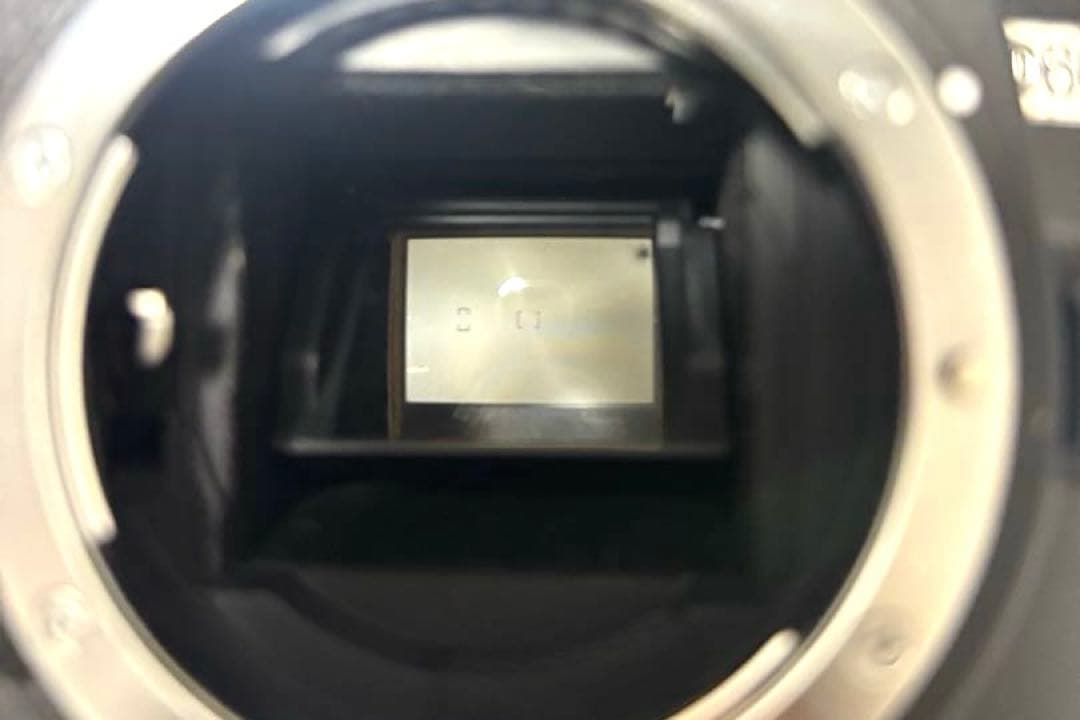 ✨ダブルレンズ✨Nikon D60 遠くまで 初心者さん向け 一眼レフ 動作OK