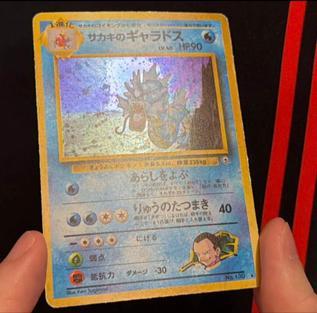 旧裏　サカキのギャラドス　カイリキー　ニャース　その他　Gyarados