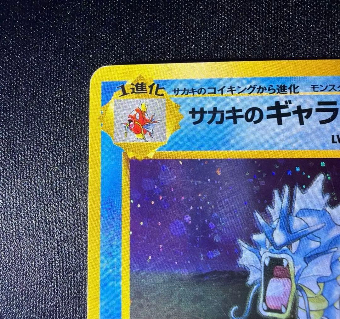 旧裏　サカキのギャラドス　カイリキー　ニャース　その他　Gyarados