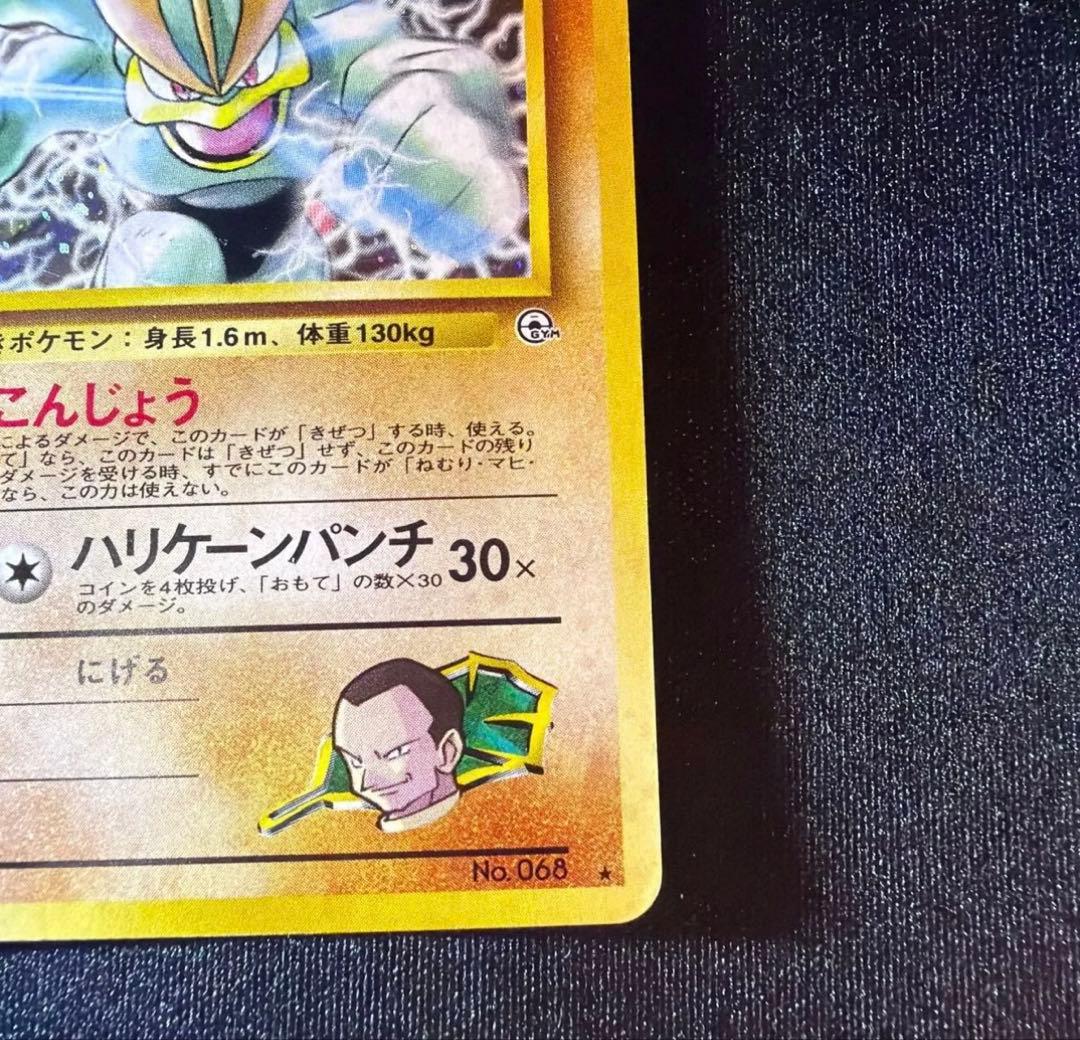 旧裏　サカキのギャラドス　カイリキー　ニャース　その他　Gyarados