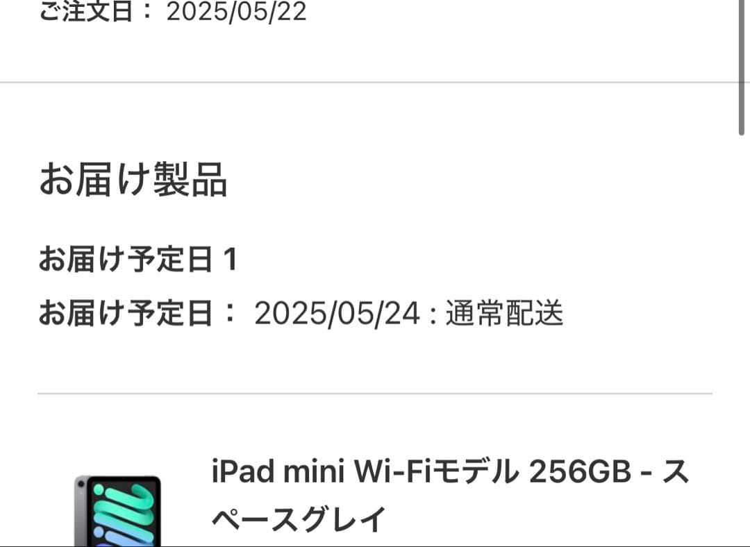 iPad mini 17 256GB スペースグレイ+pencil pro