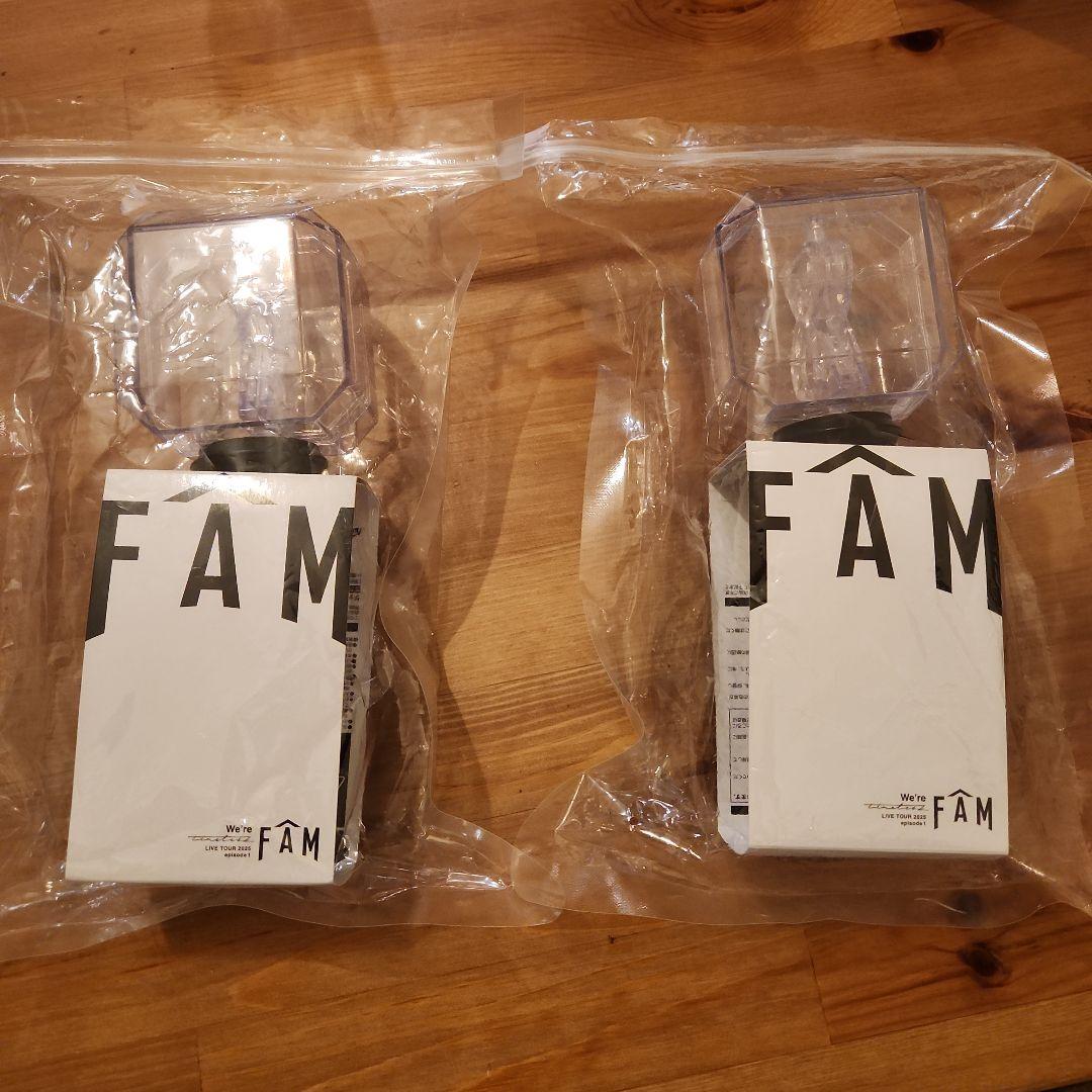 タイムレス　FAM ペンライト 2個セット
