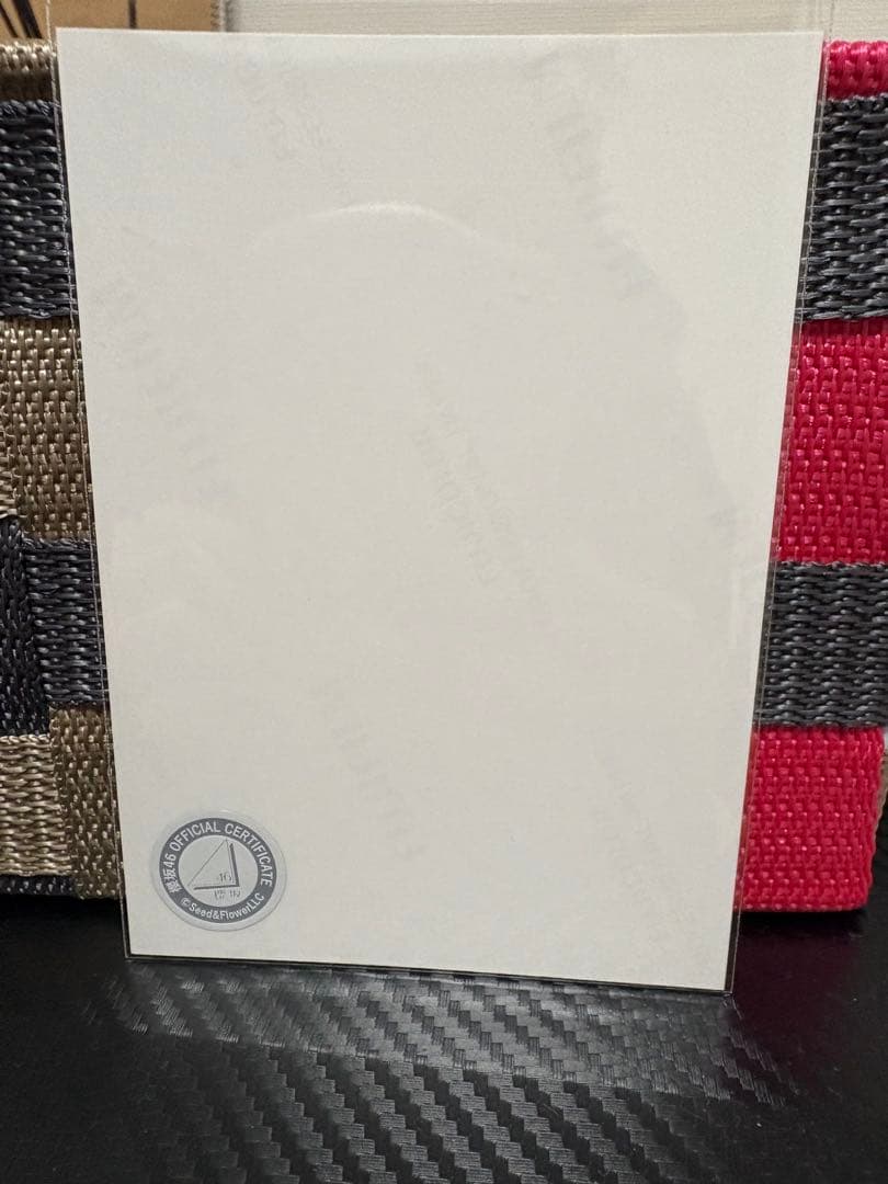 櫻坂46 生写真　遠藤理子　5th ANNIVERSARY ドレス　直筆