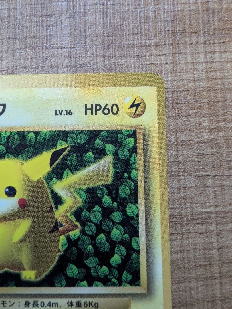 旧裏 ピカチュウ 光沢あり コロコロ プロモ Ken Sugimori