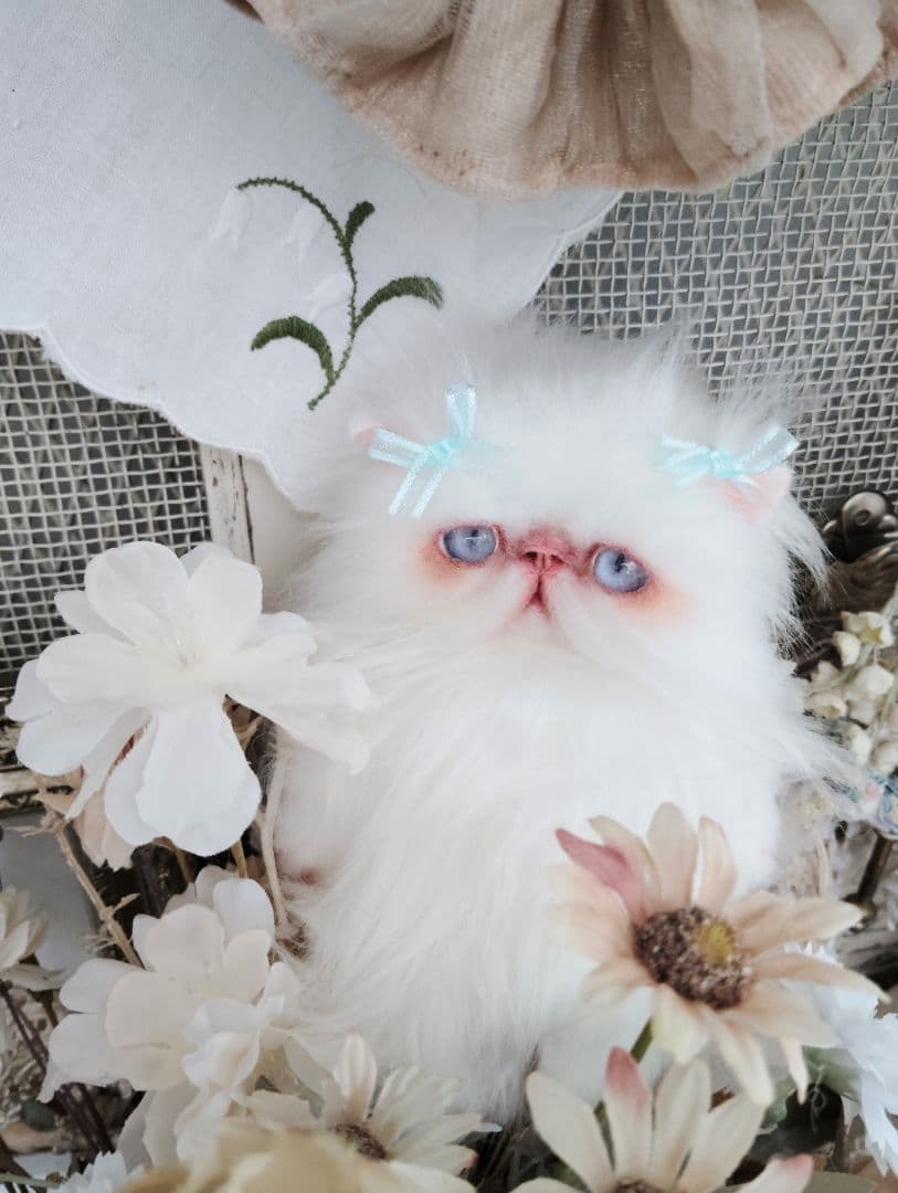 ポッケにゃん♡エキゾチックロングヘア♡子猫ちゃん♡アートドール♡ぬいぐるみ♡