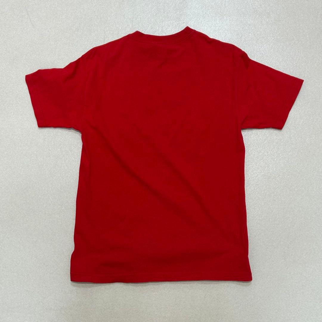 giant 00s LIMP BIZKIT バンドTシャツ バンT オフィシャル