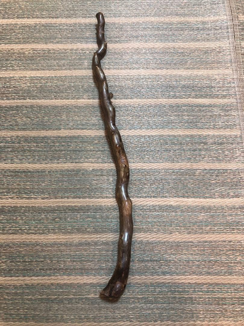 深海松 海松 レインボーコーラル 雕刻品材 希少置物 縁起物