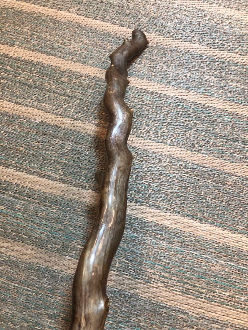 深海松 海松 レインボーコーラル 雕刻品材 希少置物 縁起物