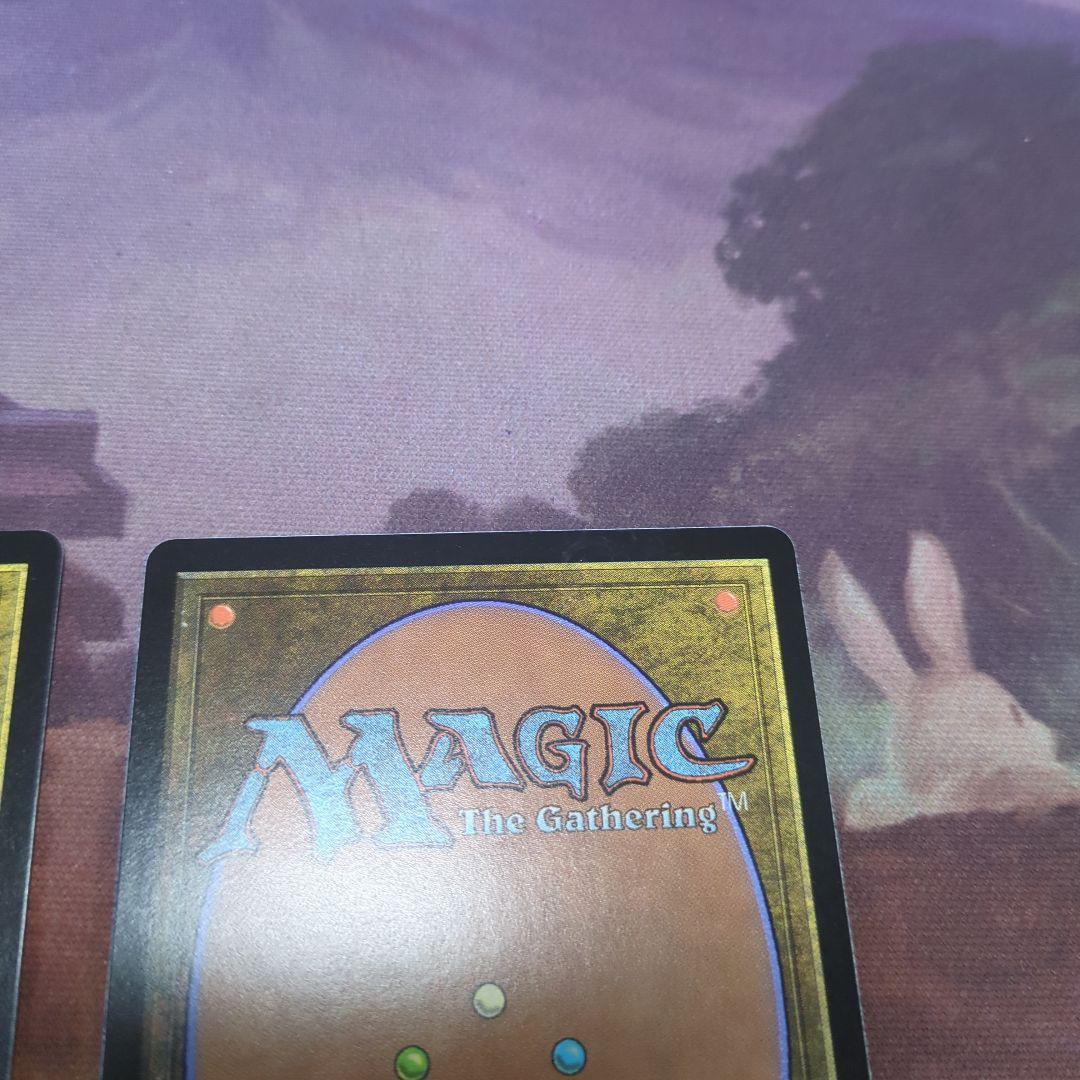 MTG 轟音の滝 日本語版　2枚セット