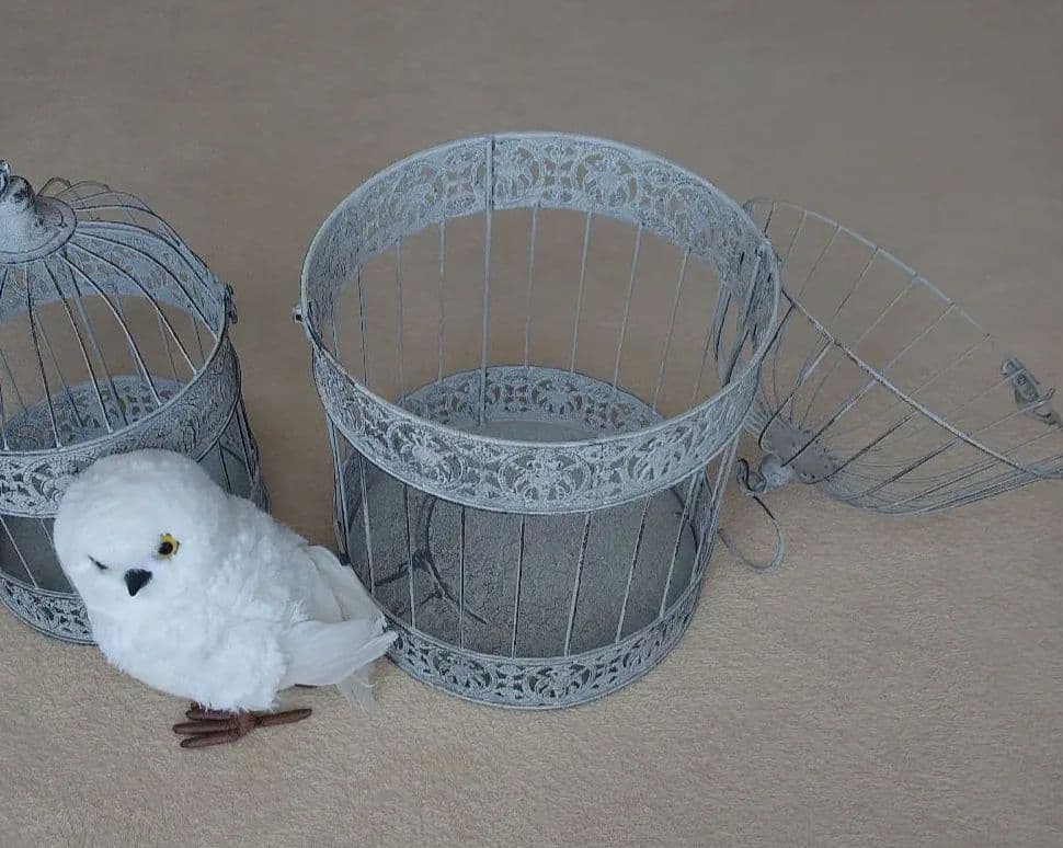 アンティーク バードゲージ L