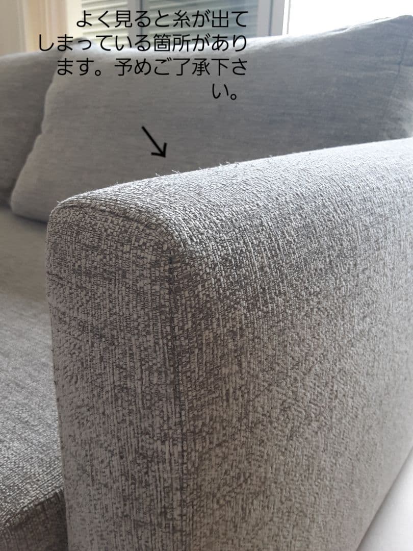 【直接引き取り限定　愛知県】NOYES ノイエス　ソファ