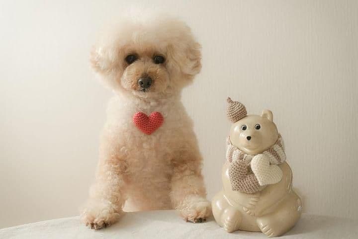 しろくま貯金箱＊バレンタイン・ホワイトデーset