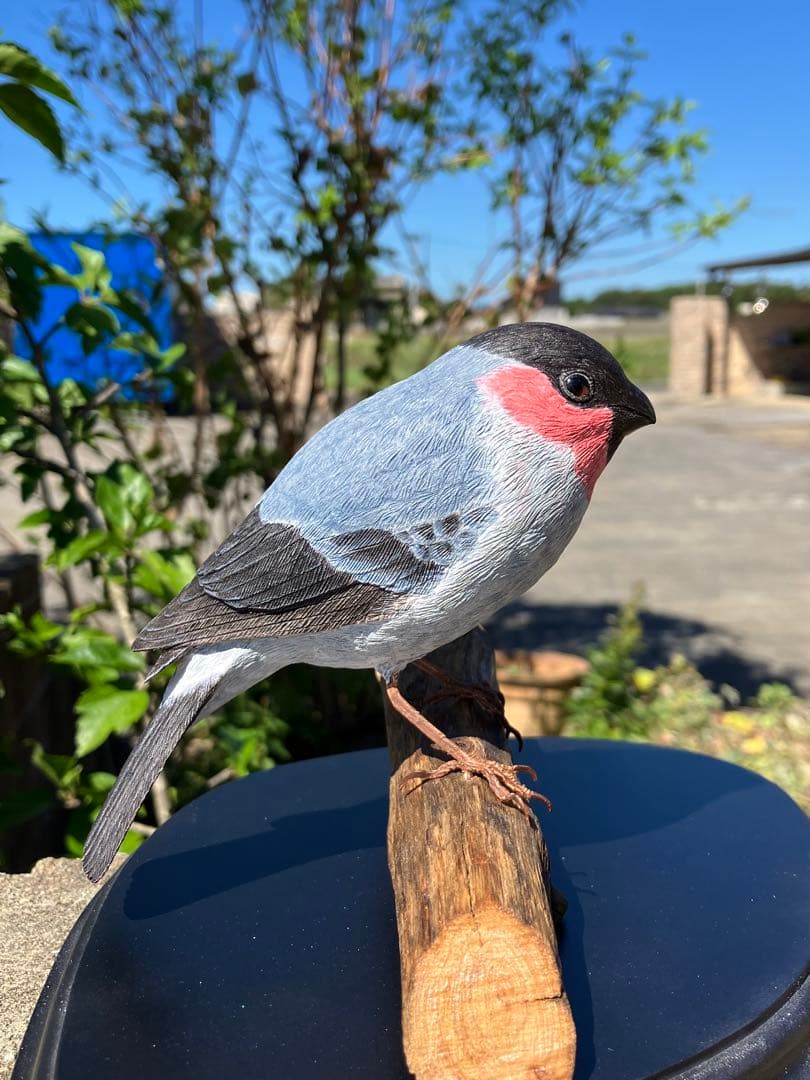 バードカービング(ウソ)