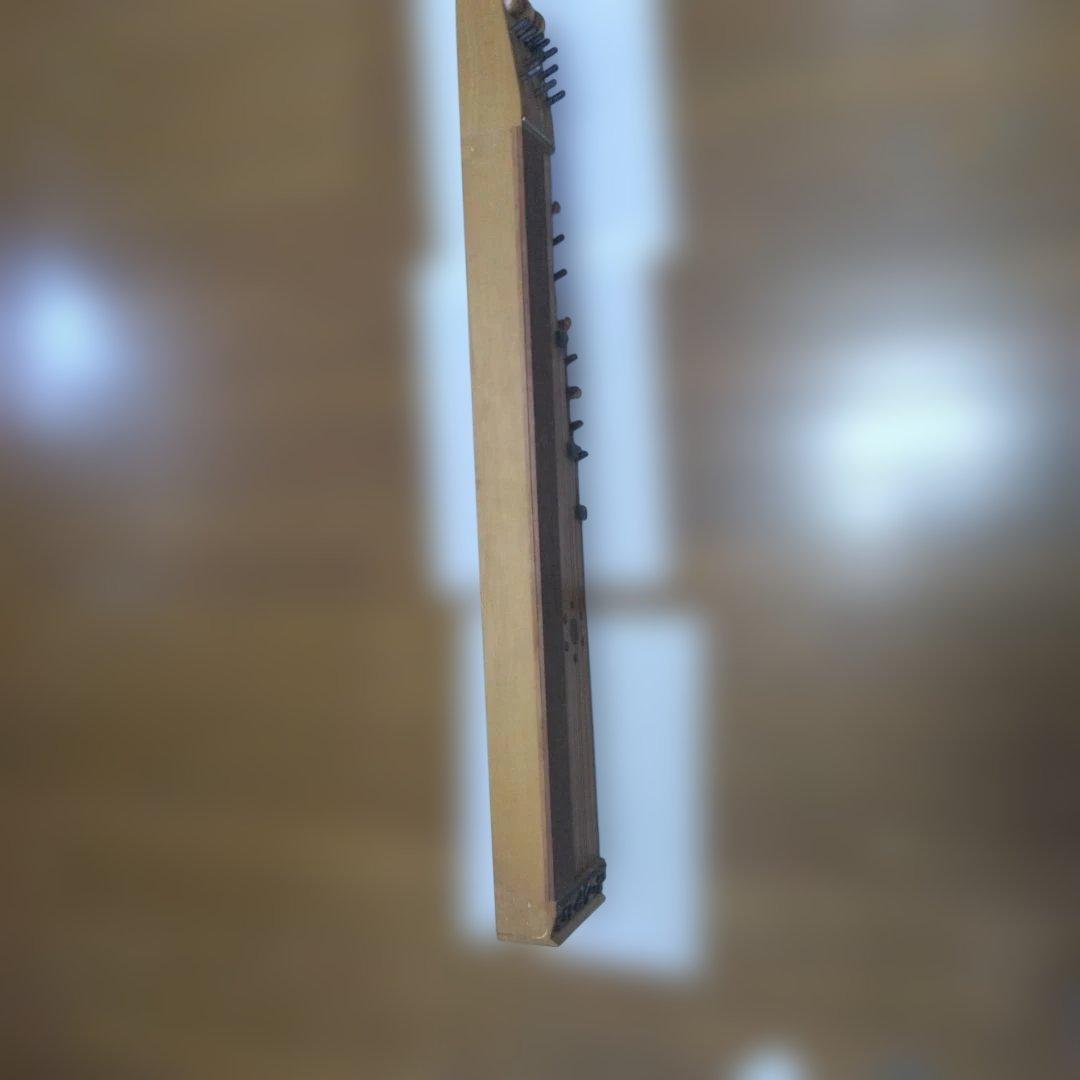 16弦楽器