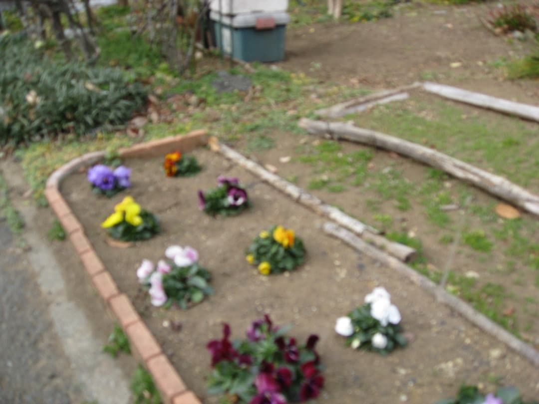 撮影可⭕️訳あり【動作確認済み】Canon IXY DIGITAL 810IS