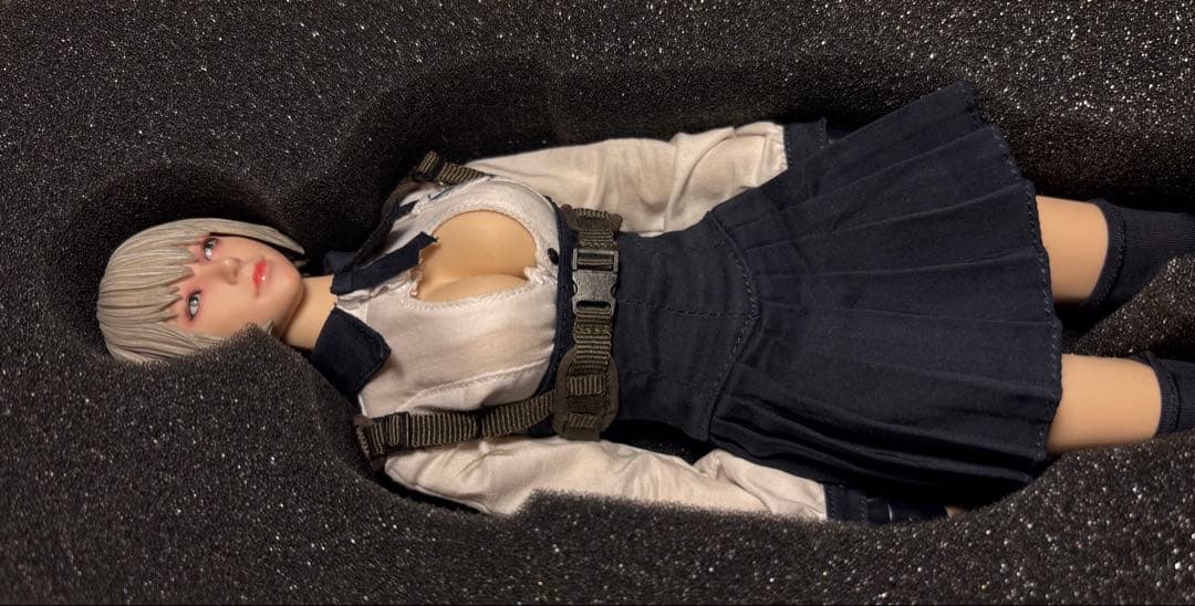 i8toys RINE 1/6 アクションフィギュア SERENE HOUND